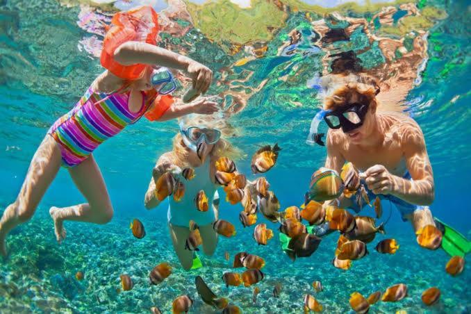 Bleu Verde Sanctuary Zone, Turtle Point Beach Gili Trawangan Exterior foto